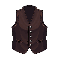 vest leather