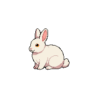 cozy rabbit bunny fluffy pet 057 v6 2026 03 25T19 14 54