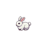 cozy rabbit bunny fluffy pet 087 v9 2026 03 25T19 14 54