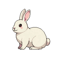cozy rabbit bunny fluffy pet 097 v10 2026 03 25T19 14 54