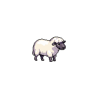 cozy sheep fluffy wool animal 084 v9 2026 03 25T19 14 54