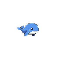 whale small