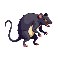 giant rat giant