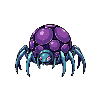 spider