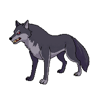 wolf