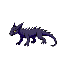shadow salamander
