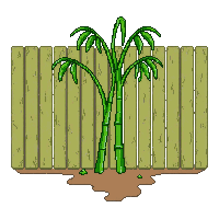 bamboo wall