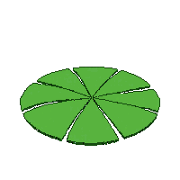 lily pad