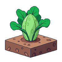 cabbage fully