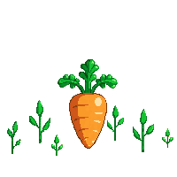 carrot half