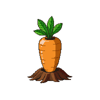 carrot sprout