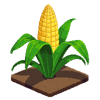 corn fully