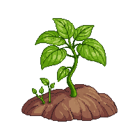 grape sprout