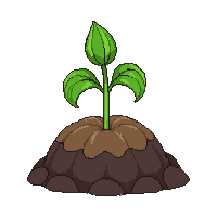 melon sprout