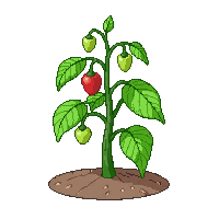 pepper fully