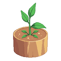 potato sprout