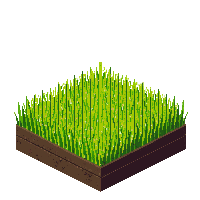 rice half