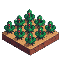 strawberry fully
