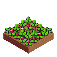 strawberry half