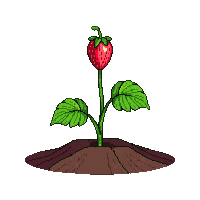 strawberry sprout