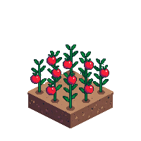 tomato half