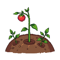 tomato sprout