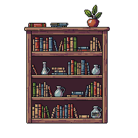 bookshelf full