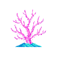 coral pink midnight