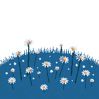 daisy patch midnight