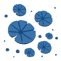 lily pad midnight