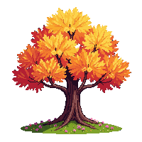 maple tree autumn midnight