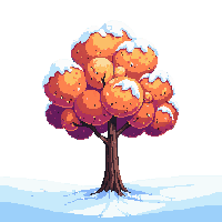 maple tree winter midnight