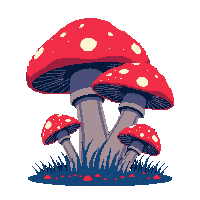 mushroom cluster red midnight