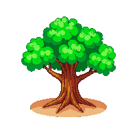 oak tree lush midnight