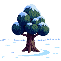 oak tree winter midnight