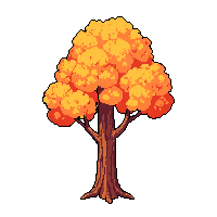 pine tree autumn midnight