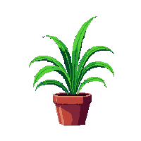 potted plant midnight