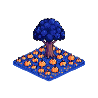 pumpkin patch midnight