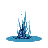 seaweed midnight