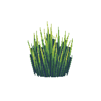 tall grass tuft midnight