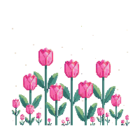 tulip patch midnight