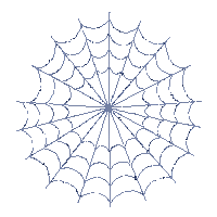 web spider corner midnight