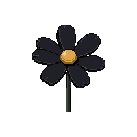 black daisy