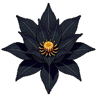 black lotus