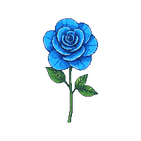 blue rose