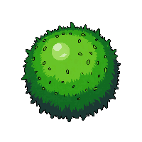 bush green round