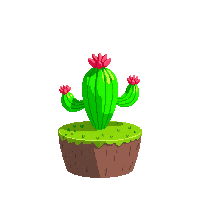 cactus round