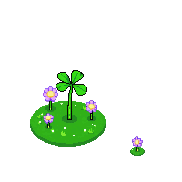 clover patch