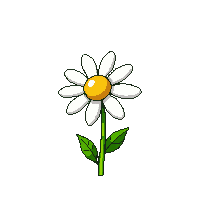 daisy patch