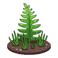 fern